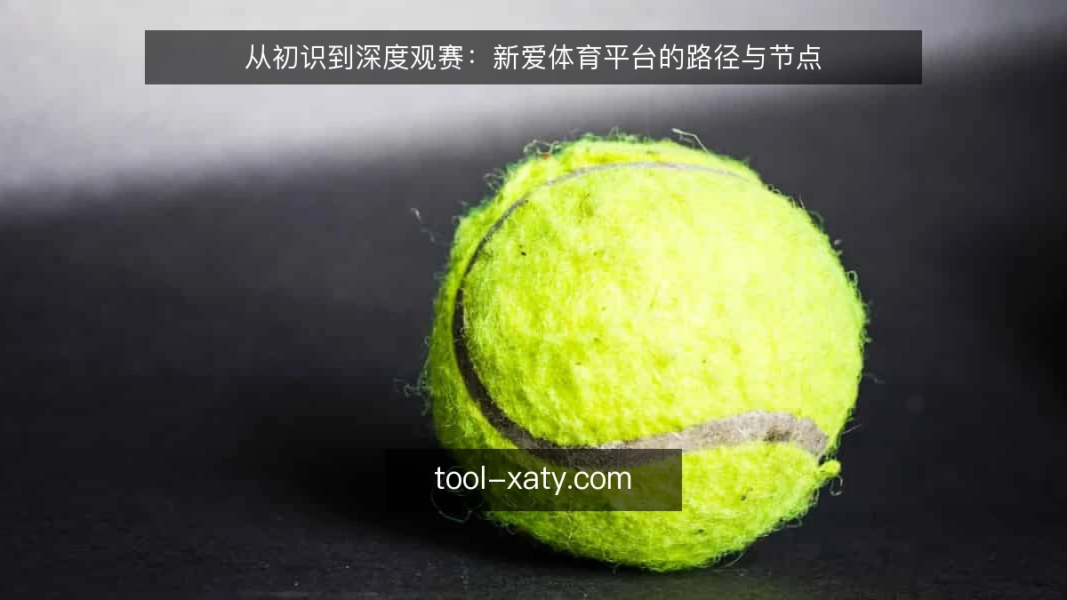 从初识到深度观赛:新爱体育平台的路径与节点
